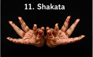 Shakata mudra